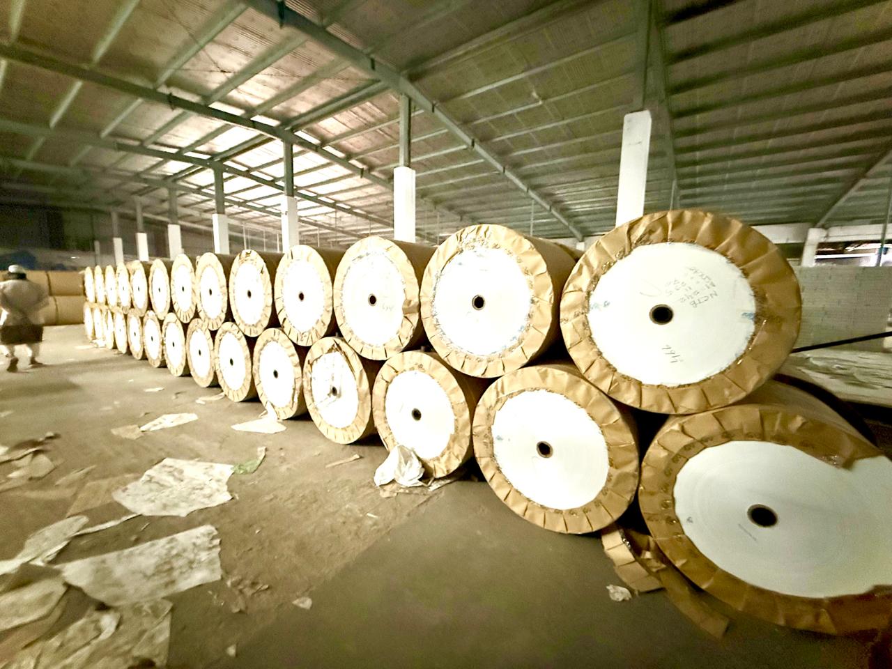 Offset Printing Paper Rolls